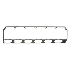 Junta, coletor de admissão FP DIESEL R532724-FP