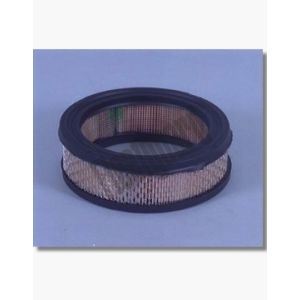 Filtro de ar FLEETGUARD AF843