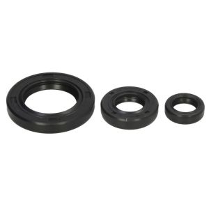 Kit de  joints de moteur WINDEROSA W822339