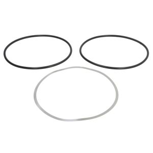 Packningssats, cylinderfoder REINZ 15-76031-01