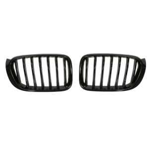 Grille de radiateur BLIC 6502-07-0093999P