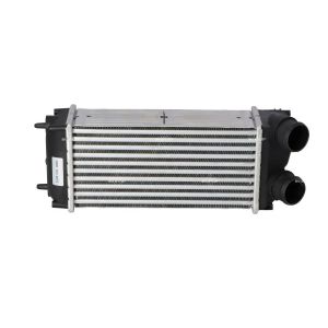 Intercooler NRF 30860