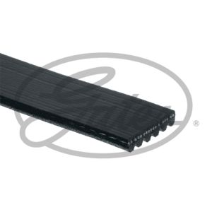 Blue Print AD06R1875 Cinghia Poly-V