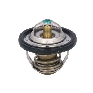 Thermostat TOURMAX TMT-303