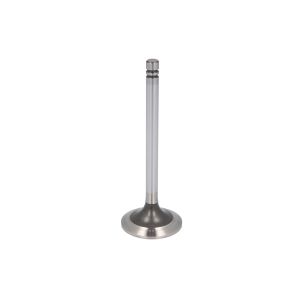 Válvula de escape IPD PARTS 1487455-IPD