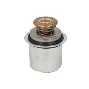 Termóstato, líquido de refrigeração FP DIESEL 5284903-FP