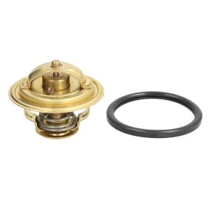 Thermostat, Kühlmittel WAHLER 4008.79D