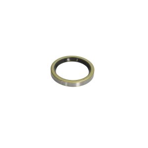 Dichtring CORTECO 19032636B