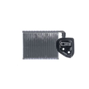Differential-Reparatursatz MAHLE AE 200 000P