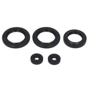 Kit de juntas do motor WINDEROSA W822142