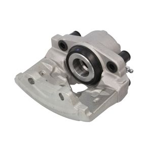 Jarrusatula ABE CZH2243