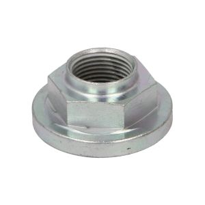 Mutter, Antriebswelle CARRARO 132190-CR