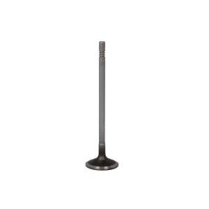 Einlassventil FRECCIA R8003/SCR