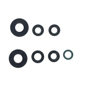 Kit de juntas do motor ATHENA P400150400220