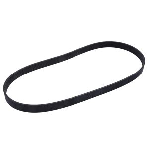 Cinghia poly-V OE DEUTZ 01183905-DEUTZ