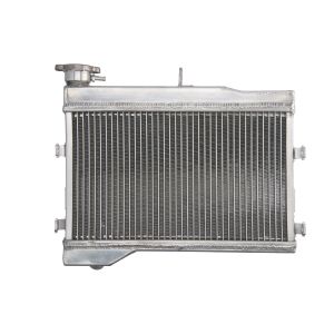 Kühler, Motorkühlung 4RIDE RAD-625