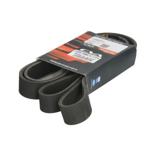 Correa poly V CVA 320/08672 CVA
