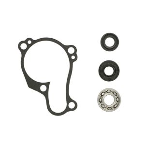 Kit de reparação, bomba de água HOT RODS WPK0029