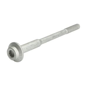 Tornillo, soporte inyector ENGITECH ENT250846