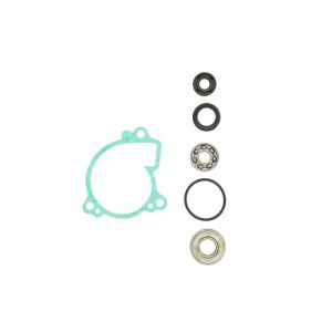 Kit de reparação, bomba de água HOT RODS WPK0025