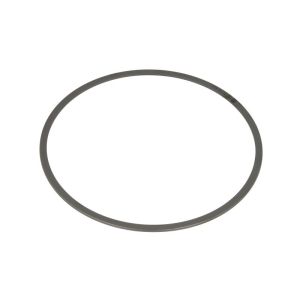 Sicherheitsring ZF 0750106078ZF