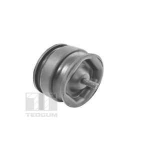Support moteur atelier TEDGUM 00221175
