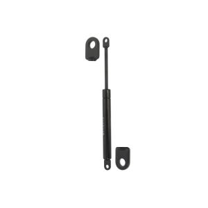 Molla a gas STABILUS 118605