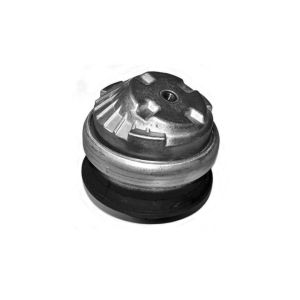 Cuscinetti, motore VAICO V30-1110