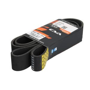 Correa poly V CVA 2941781 CVA