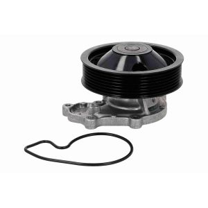 Kühlmittelpumpe ACKOJA A26-50022