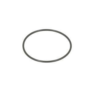 O-Ring, Getriebe C.E.I 239100