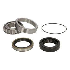 Conjunto de rolamentos de roda SNR R173.07