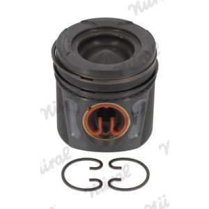 Piston Nüral 87-441600-00