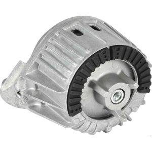 Lagerung, Motor HERTH+BUSS JAKOPARTS J1790809