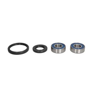 Jeu de roulements de roue ALL BALLS AB25-1743