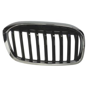 Grille de radiateur BLIC 6502-07-0071992P