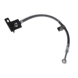 Bremsschlauch BLUE PRINT ADG05379