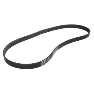 Correa poly V GATES 0285271-GAT