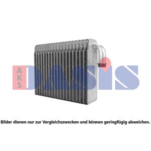 Differential-Reparatursatz AKS DASIS 442023N