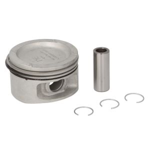 Piston NE 130050003521
