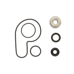 Kit de reparação, bomba de água HOT RODS WPK0054