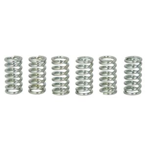 Kit de molas de embraiagem TRW MEF109-6