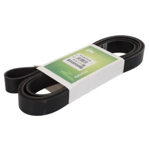 Cinghia Poly-V DAYCO 8PK2497HD