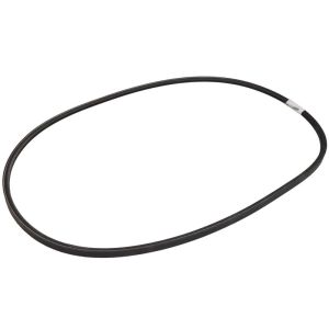 Correa poly V OPTIBELT 1002436AP