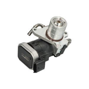 AGR Ventil BORG WARNER 7375D