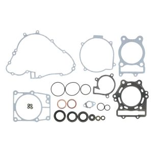 Kit de juntas do motor WINDEROSA W811860