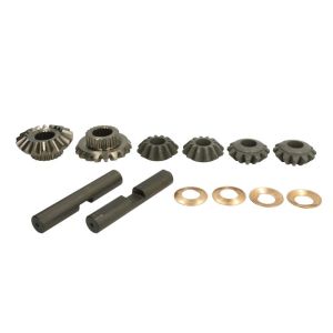 Reparatursatz, Differential CARRARO 66145-CR