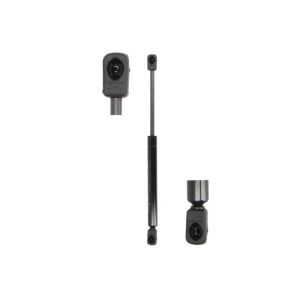Gasfeder, Tür MAGNUM TECHNOLOGY MGS059