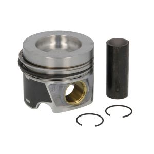 Pistón MAHLE 028 PI 00100 001