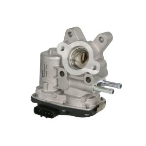 AGR Ventil DELPHI EG10536-12B1